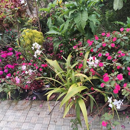 Soly'S Villa Homestay Munnar Exterior photo