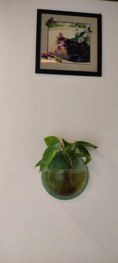 Soly'S Villa Homestay Munnar Exterior photo